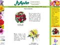 Livraison fleurs pas cher, compositions avec Josepha fleurs 
